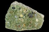 5.3" Polished Rhyolite (Rainforest Jasper) Section - Australia - #130413-1